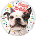Amscan Folienballon Hund Folienballon Happy Birthday Katze oder Hund