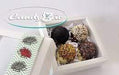CandyBär | Ein Laden, so bunt wie das Leben Pralinen 250g Belgische Schokoladen Igel mit Nougat gefüllt