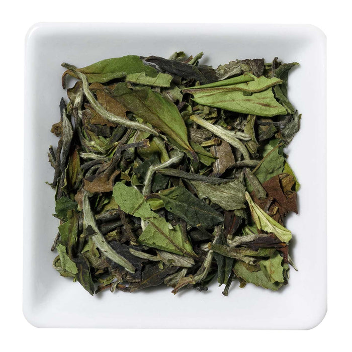 Wollenhaupt Tee Weißer Tee China Pai Mu Tan Std 6901